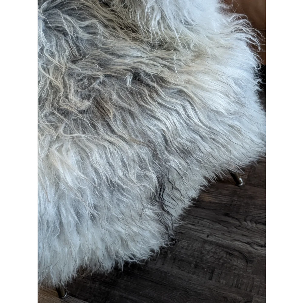 A plush long wool icelandic sheepskin rug in natural grey with soft texture measuring 55 x 35 inches
