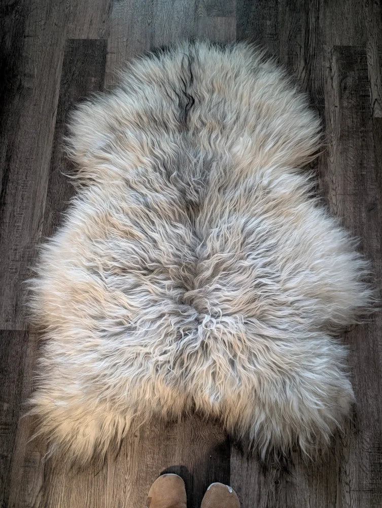 A fluffy natural grey icelandic sheepskin rug with long wool icelandic texture measuring 55 by 35 inches