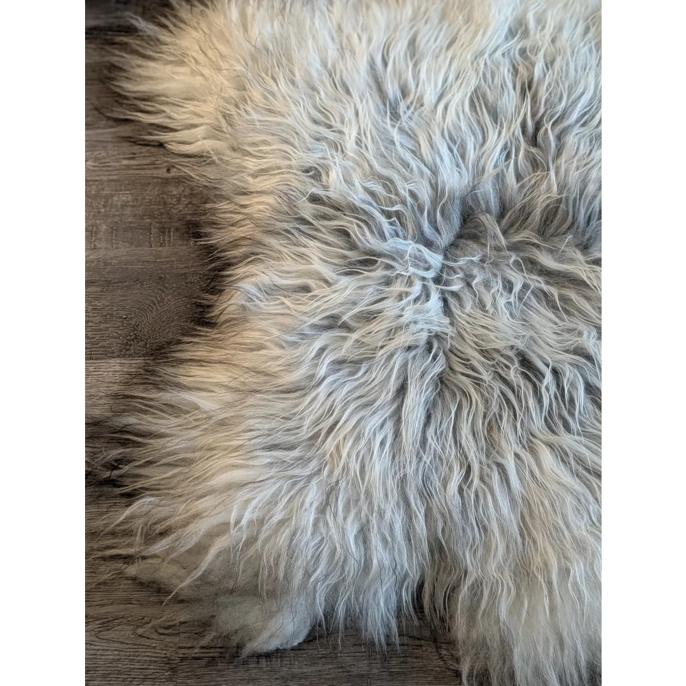 A plush icelandic sheepskin rug with long wool icelandic natural grey and white blend measuring 55 by 35 inches