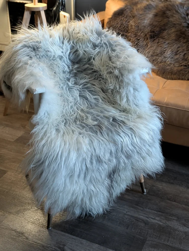 A plush light gray long wool icelandic sheepskin rug with fluffy fibers draped over a chair for cozy use
