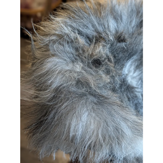 A massive 54 x 33 inch icelandic sheepskin throw in natural grey with soft double icelandic wool and shaggy texture
