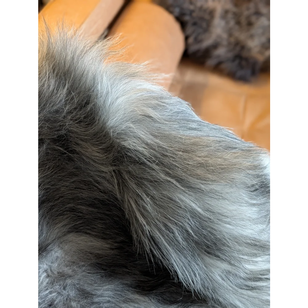A plush gray double icelandic sheepskin collar with soft dense fibers in natural wool icelandic texture