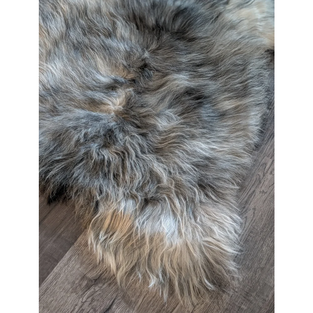 A massive natural grey icelandic sheepskin rug with soft wool icelandic texture in gray white and brown tones