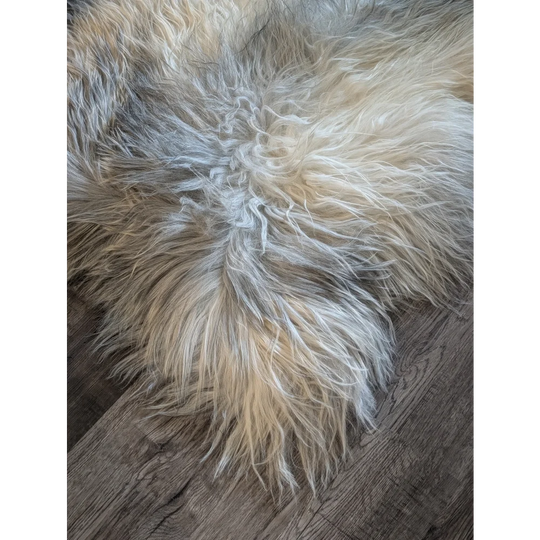 A massive icelandic sheepskin rug in natural grey with double icelandic wool texture measuring 57 by 35 inches