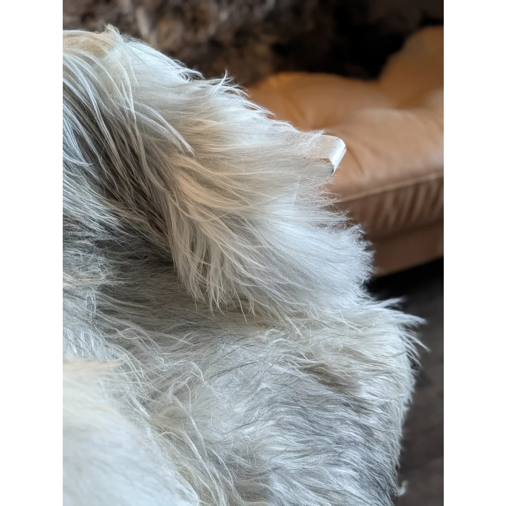 A fluffy white and gray dog on a 57 x 35 inch massive natural grey icelandic sheepskin with double icelandic wool