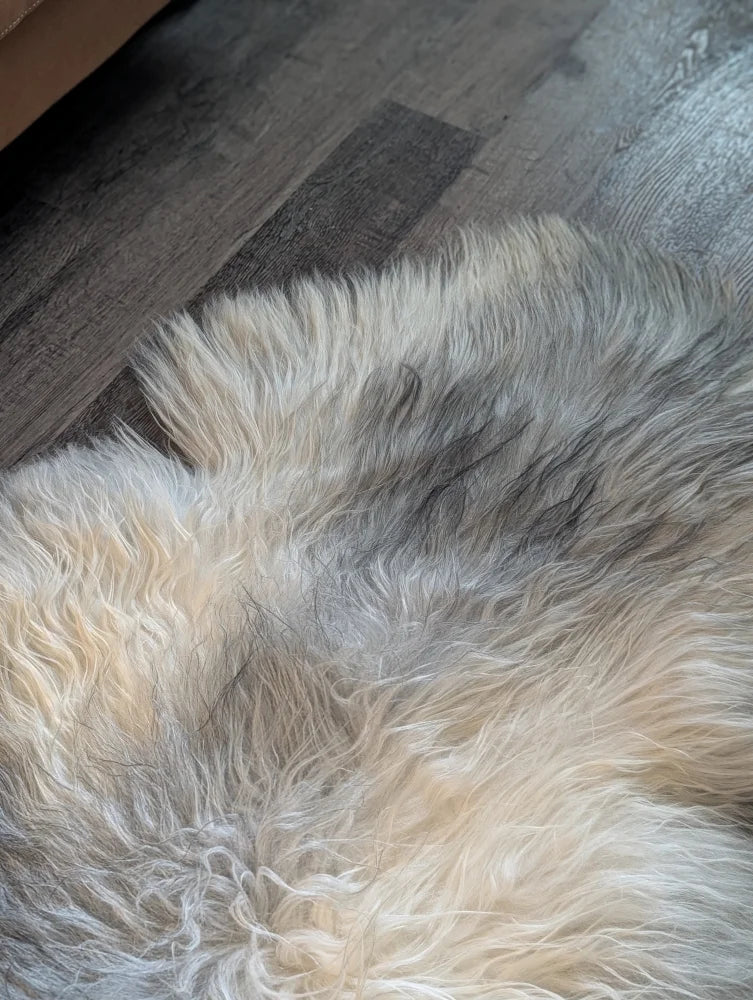 A massive 57 x 35 inch icelandic sheepskin rug with soft wool icelandic fur in natural cream and gray tones