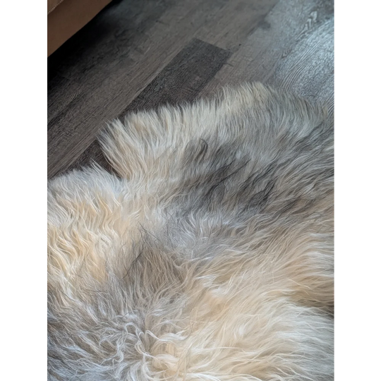A massive 57 x 35 inch icelandic sheepskin rug with soft wool icelandic fur in natural cream and gray tones