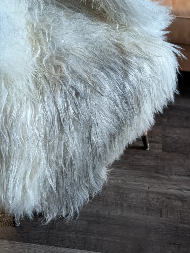 A plush long-haired wool icelandic sheepskin throw in natural grey draped over a chair for cozy use