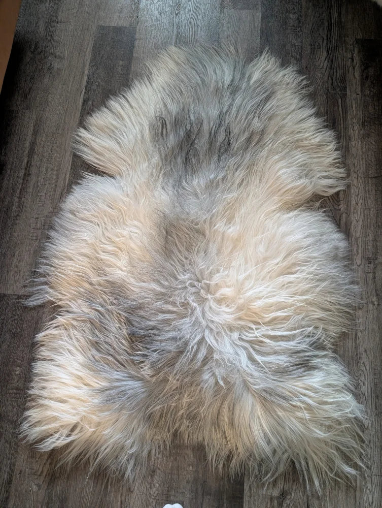 A massive 57 x 35 inch icelandic sheepskin rug with soft wool icelandic fur in creamy white and natural grey tones