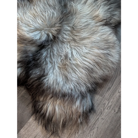 A plush double icelandic sheepskin rug in natural grey with soft dense wool icelandic fur measuring 54 by 34 inches