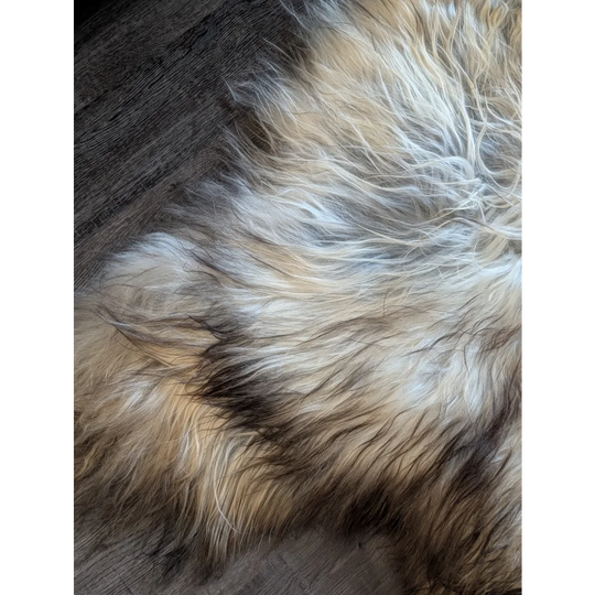 A plush 57 x 37 inch massive icelandic sheepskin rug with natural cream tan and dark brown wool icelandic strands