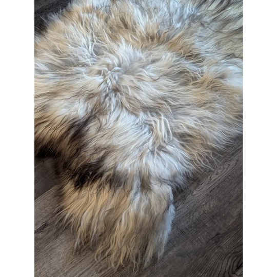 A massive icelandic sheepskin rug 57 x 37 with soft wool icelandic texture in natural cream beige and brown tones
