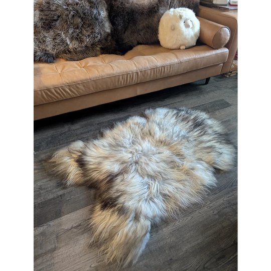 A plush natural grey icelandic sheepskin rug with soft wool icelandic texture and irregular edges on wooden floor