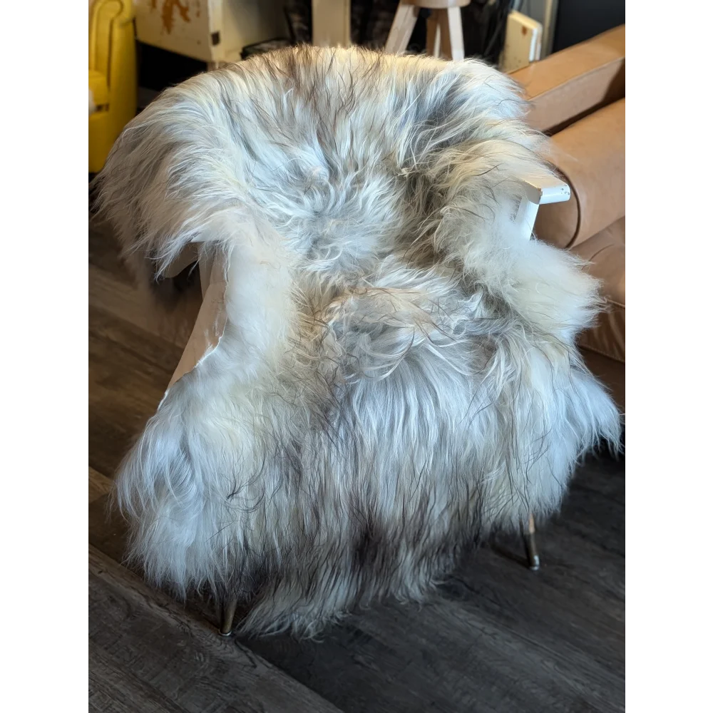 A plush massive icelandic sheepskin throw in natural grey wool icelandic draped over a chair
