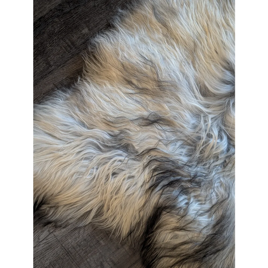 Massive icelandic sheepskin rug in natural grey with soft wool icelandic texture and subtle cream beige tones