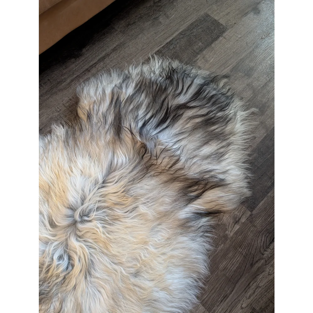 A plush 58 by 32 inch massive icelandic sheepskin rug in natural grey with soft wool icelandic double texture