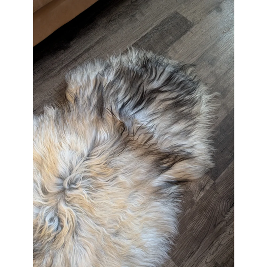 A plush 58 by 32 inch massive icelandic sheepskin rug in natural grey with soft wool icelandic double texture