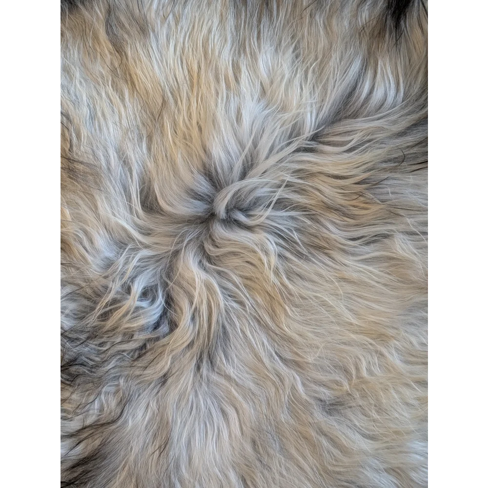 A massive 58 x 32 inch double icelandic sheepskin rug with cream gray and light brown wool icelandic fur natural grey