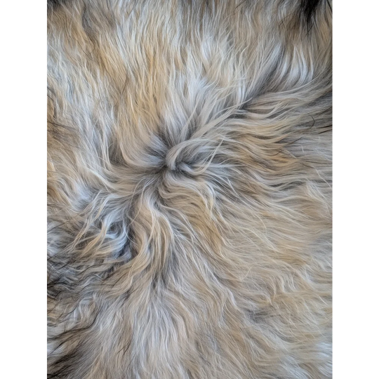 A massive 58 x 32 inch double icelandic sheepskin rug with cream gray and light brown wool icelandic fur natural grey