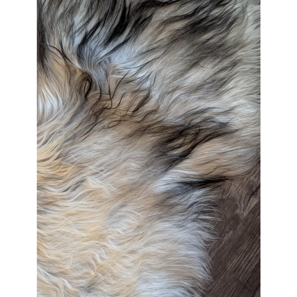 A plush 58 by 32 inch icelandic sheepskin rug with natural grey wool icelandic blend of cream gray and black strands