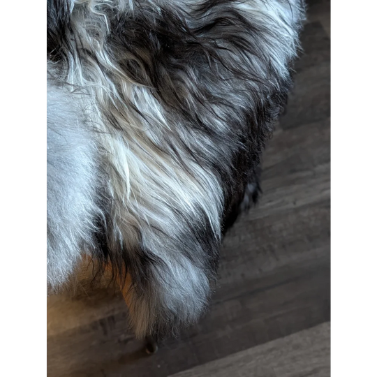 A fluffy long-haired dog with black and silver-gray fur on a massive natural grey double icelandic sheepskin rug