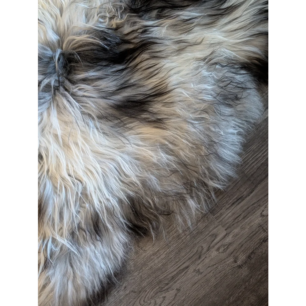 A plush double icelandic sheepskin rug in natural grey with cream gray and black wool icelandic strands