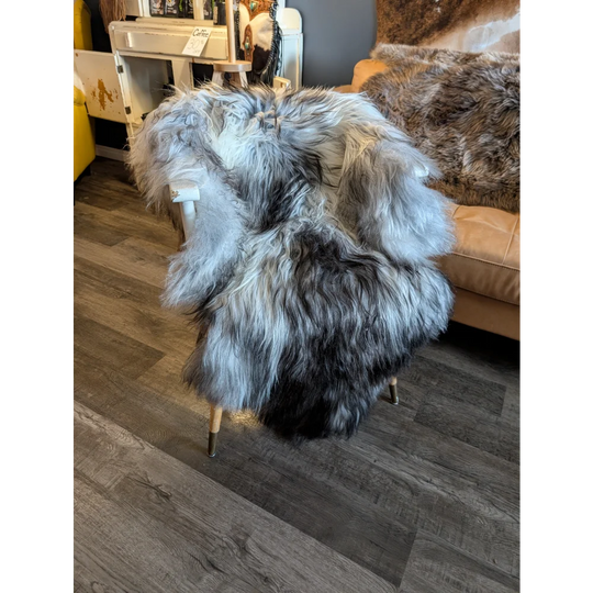 A plush double icelandic sheepskin rug in natural grey wool icelandic draped over a chair for cozy comfort