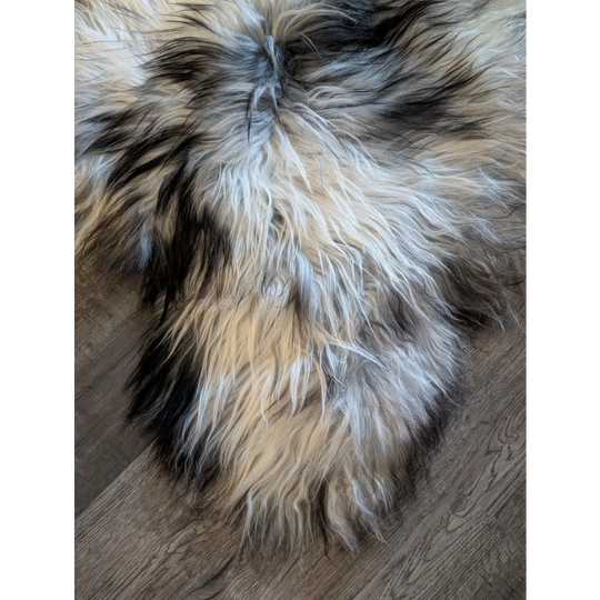 A plush double icelandic sheepskin rug 56 x 36 with natural grey cream and black wool icelandic fur texture