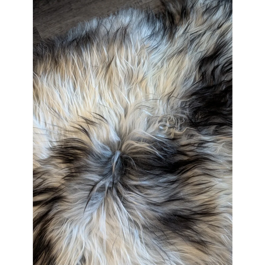 A plush icelandic sheepskin rug in natural grey with cream black and gray wool icelandic double fleece texture