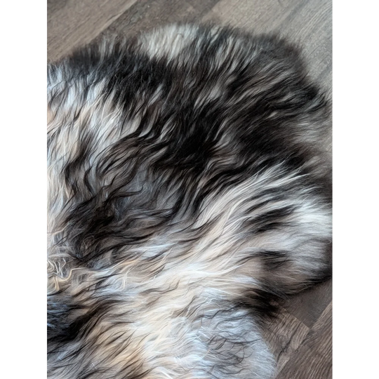 A plush double icelandic sheepskin rug with natural grey wool icelandic fur in black white and gray blend