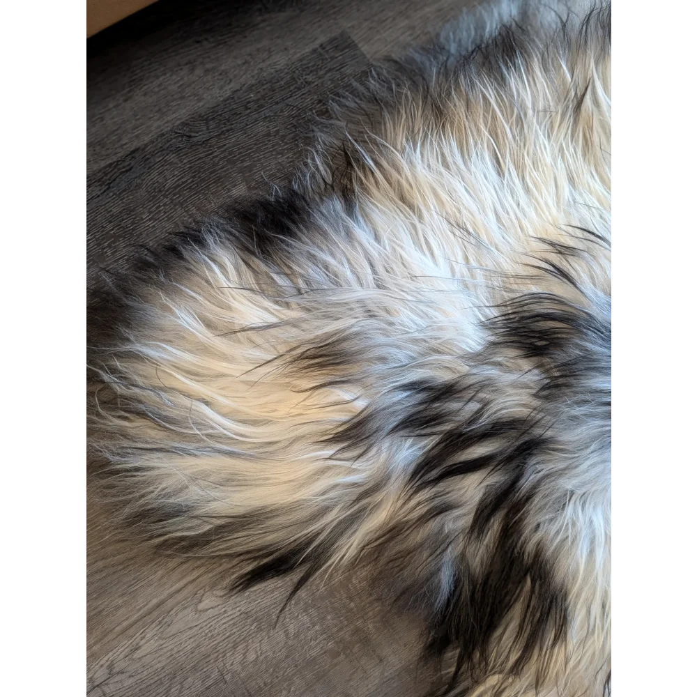 A plush tri-color wool icelandic rug with soft fluffy cream black and gray strands 56 by 36 inches massive size