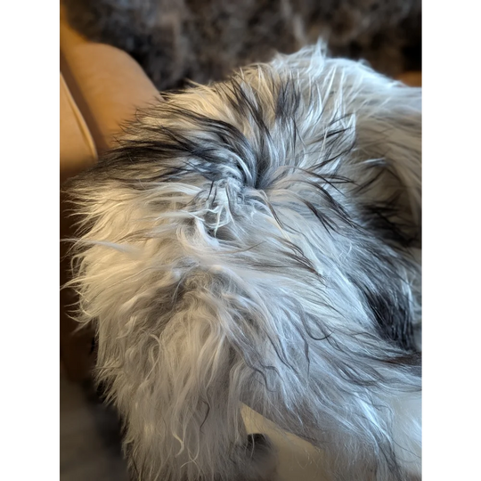 A plush icelandic sheepskin throw blanket with natural grey double icelandic wool strands in white and black colors