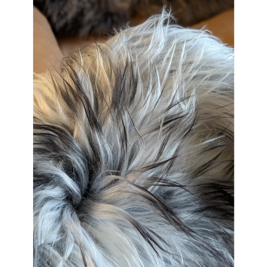Fluffy multicolored wool icelandic sheepskin blanket in natural grey with white gray and black strands 56 by 36 inches