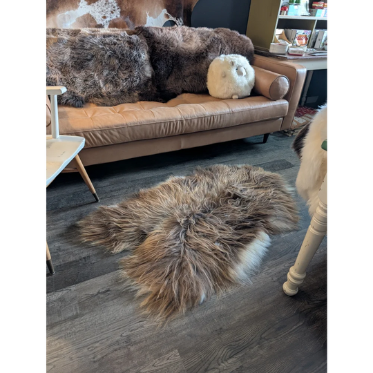 A massive irregular icelandic sheepskin rug in natural bronze with long wool icelandic fur lies on the floor