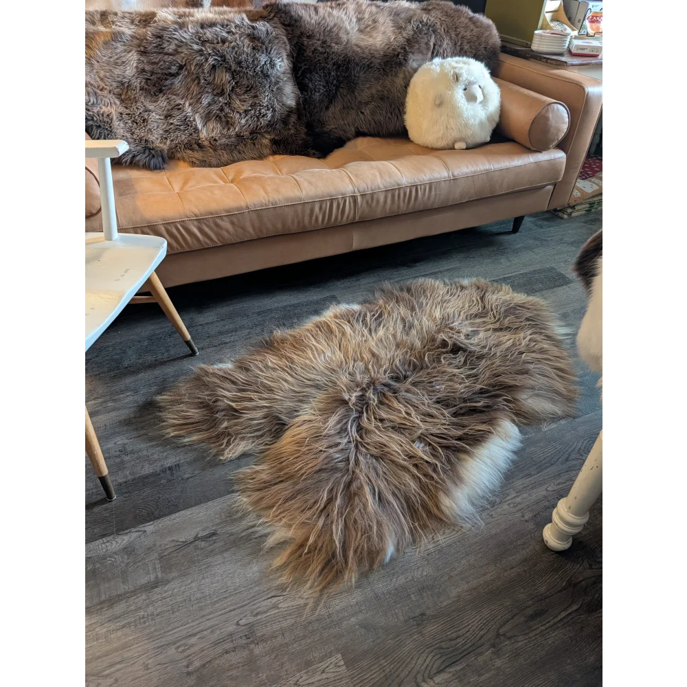 Thick fluffy brown and white icelandic sheepskin rug in natural bronze perfect for cozy floor decor