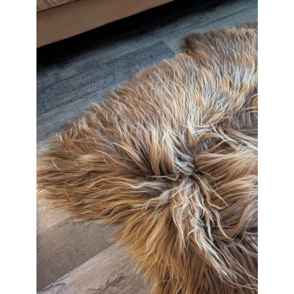 A massive 61 by 38 inch icelandic sheepskin rug in natural bronze with long wool icelandic fur in tan and cream shades