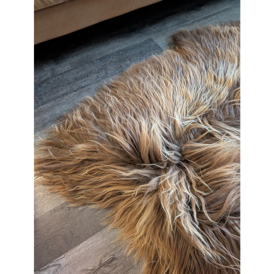 A massive 61 by 38 inch icelandic sheepskin rug in natural bronze with long wool icelandic fur in tan and cream shades