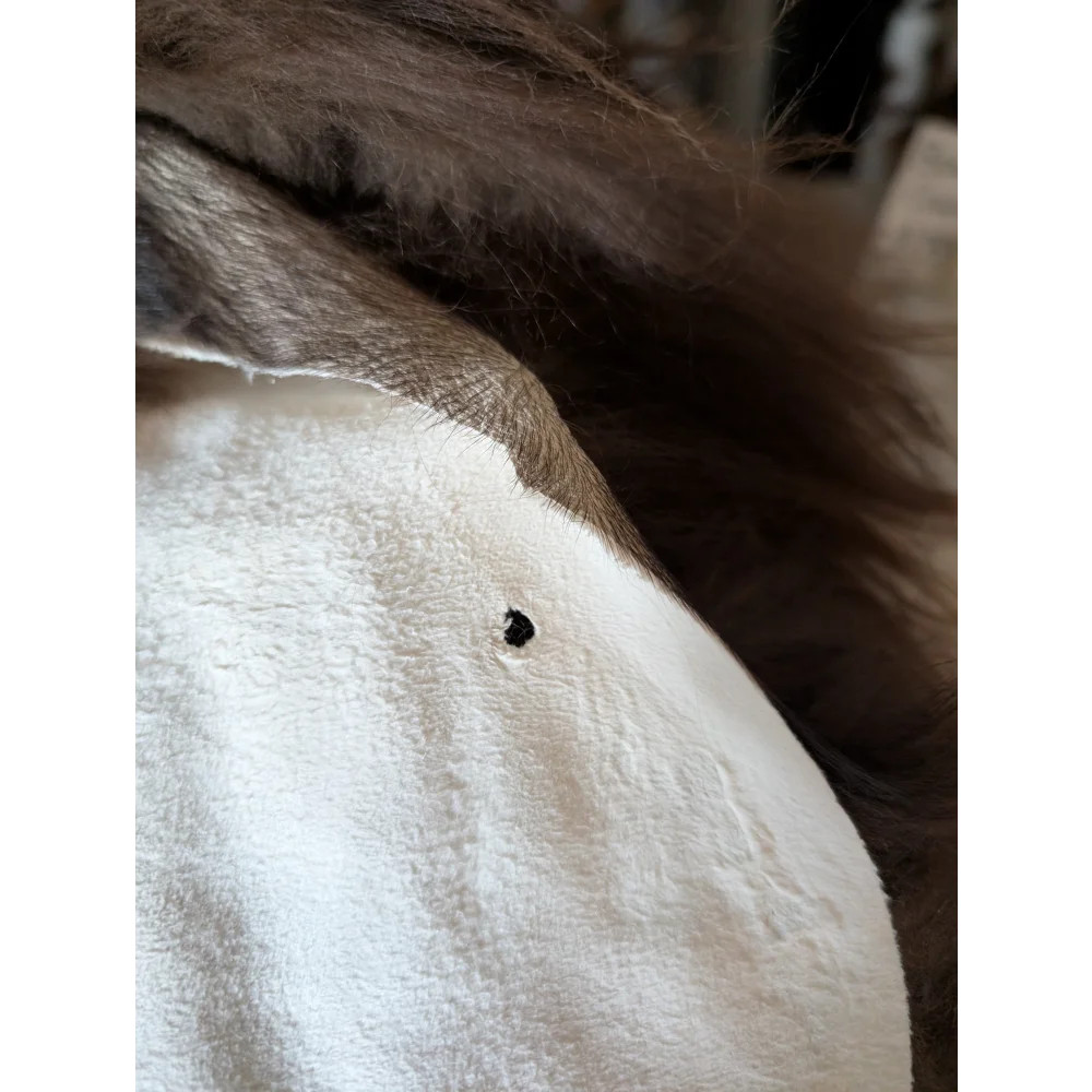 A small dark insect on soft white textured fabric of a long wool icelandic sheepskin in natural bronze color