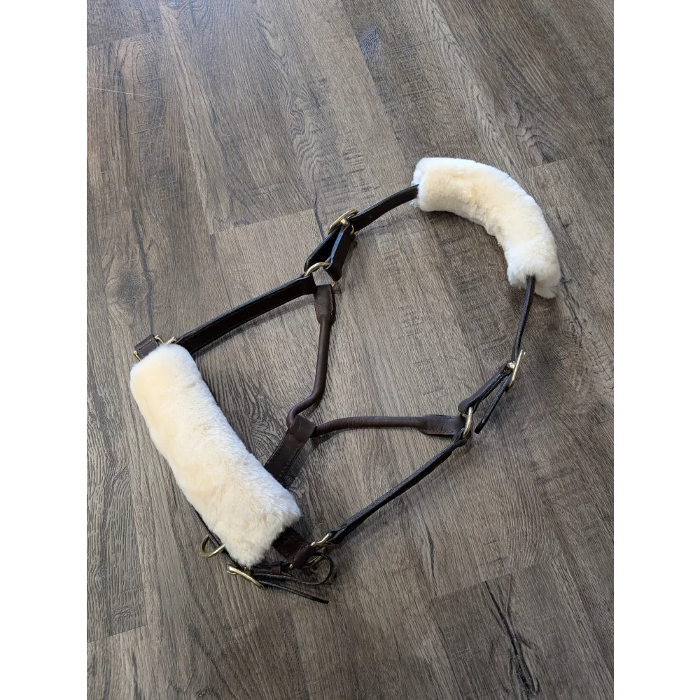 Brown leather halter with white sheepskin noseband cover padding
