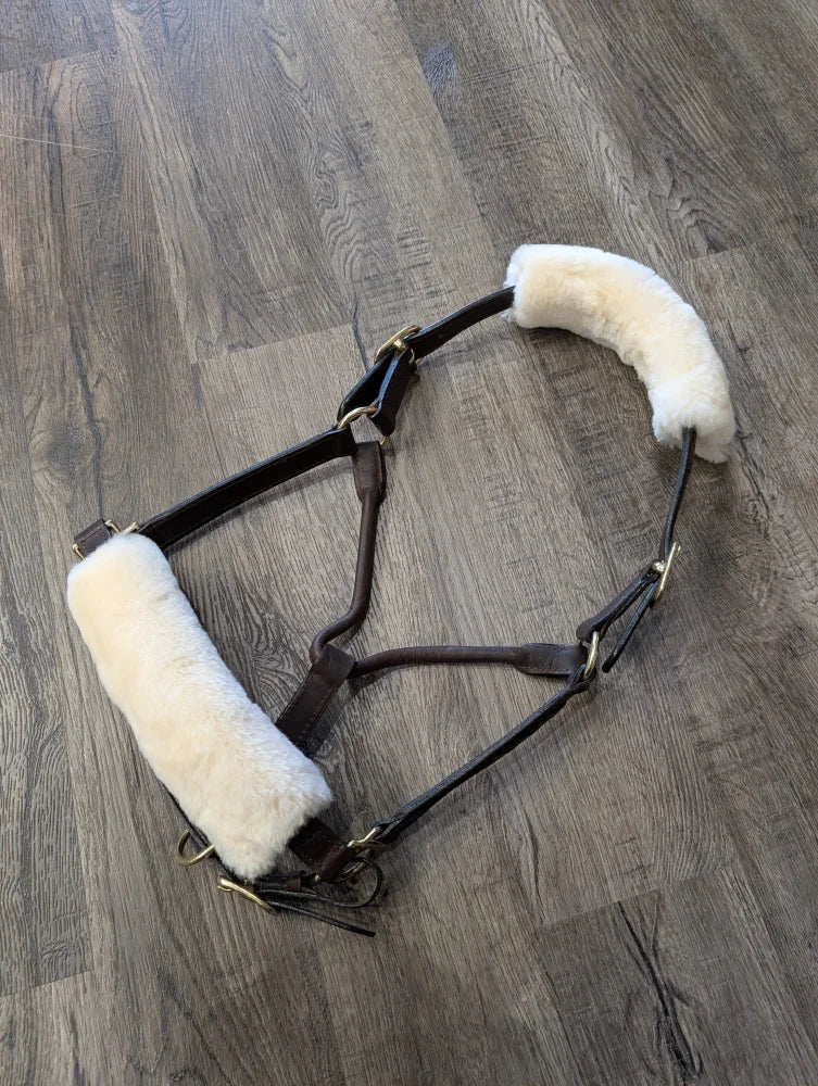 Brown leather halter with white sheepskin noseband cover padding