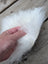 A fluffy white sheepskin sample square with soft long fur strands gently held by a hand