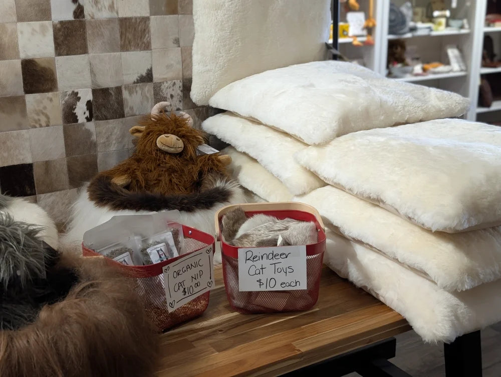 Cozy cream plush cat bed with Canadian sheeps wool stuffing and sheepskin pet pillows