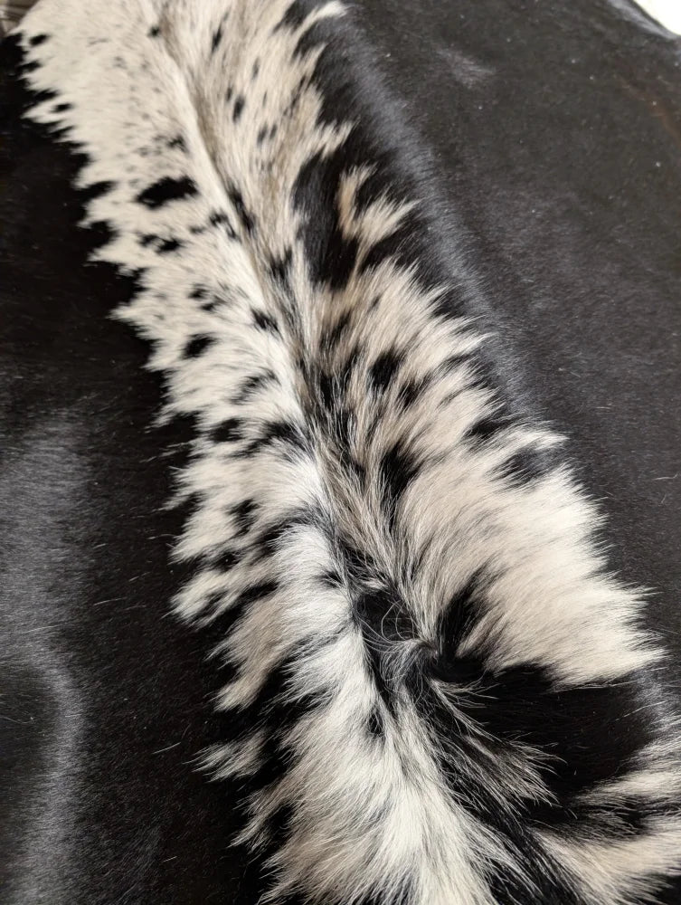 Black and white spotted cowhide fur trim on large cowhide rug, soft underfoot