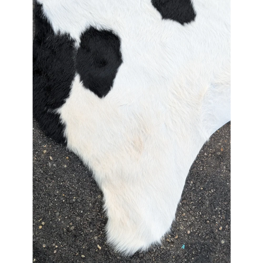 Large cowhide rug with black and white spots and textured surface for a stylish look