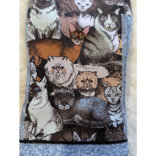 Colorful cat breed socks from Good Luck Socks