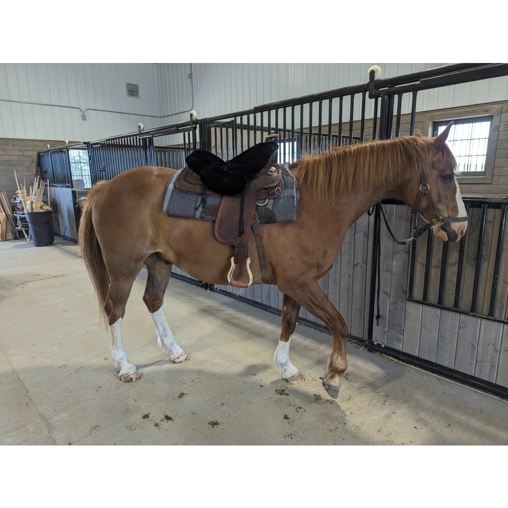 Brown merino sheepskin western saddle cover with black leather and silver hardware