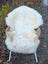 A softbrit#1 british isles sheepskin rug draped over a wicker chair featuring off-white plush material and white metal legs