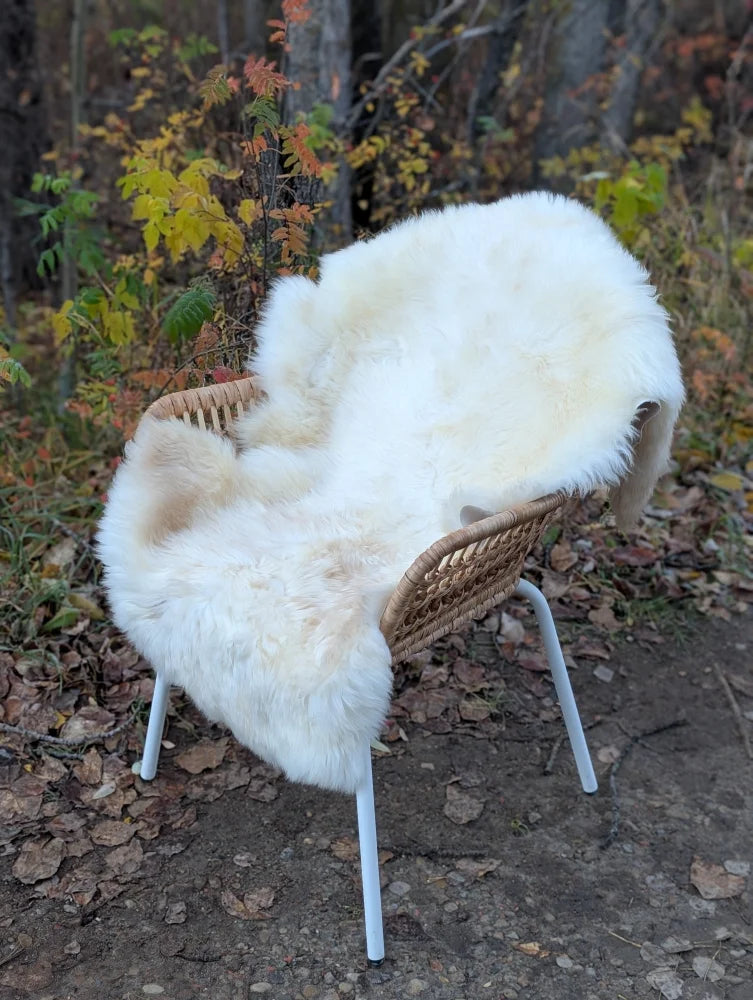 White british isles sheepskin rug draped over wicker chair with white metal legs softbrit#1 very soft feel