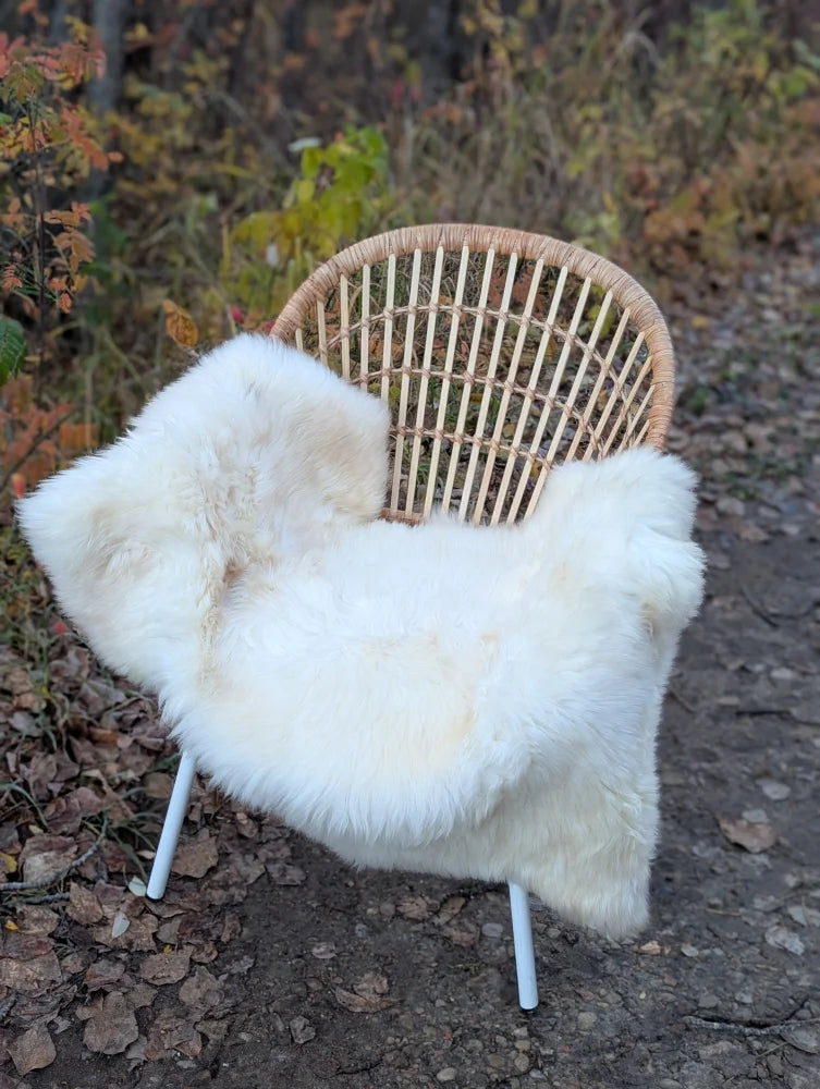 A cozy white british isles sheepskin throw draped over a wicker chair with slim metal legs