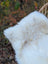 A plush off-white very soft british isles sheepskin rug with natural fluffy fur pile 45.5 by 30 inches